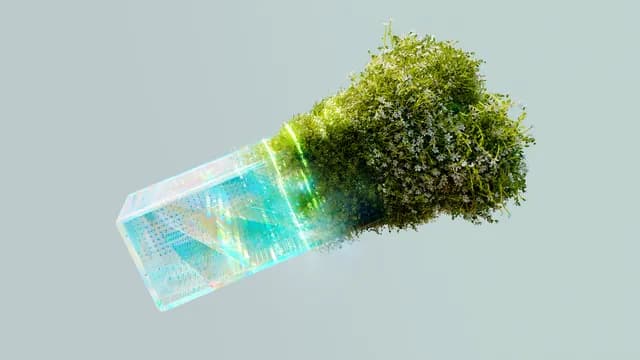 AI startups: data is key. New operational playbook for rapid scaling.